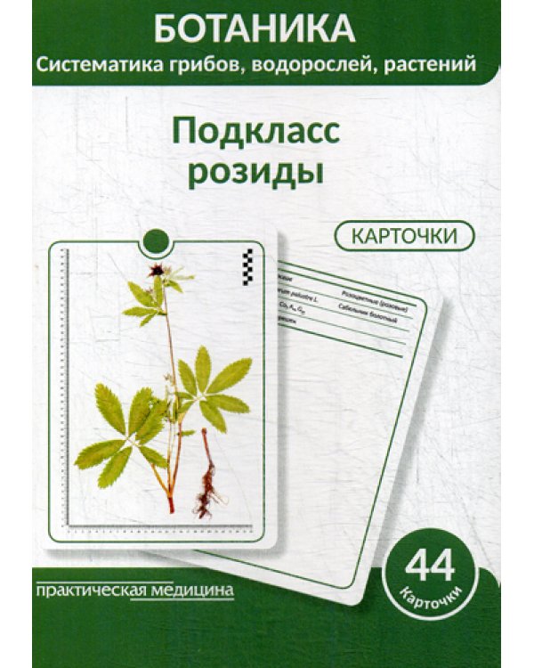 Ботаника. Систематика грибов, водорослей, растений. Подкласс розиды: Учебное пособие. (КАРТОЧКИ 44 шт.)
