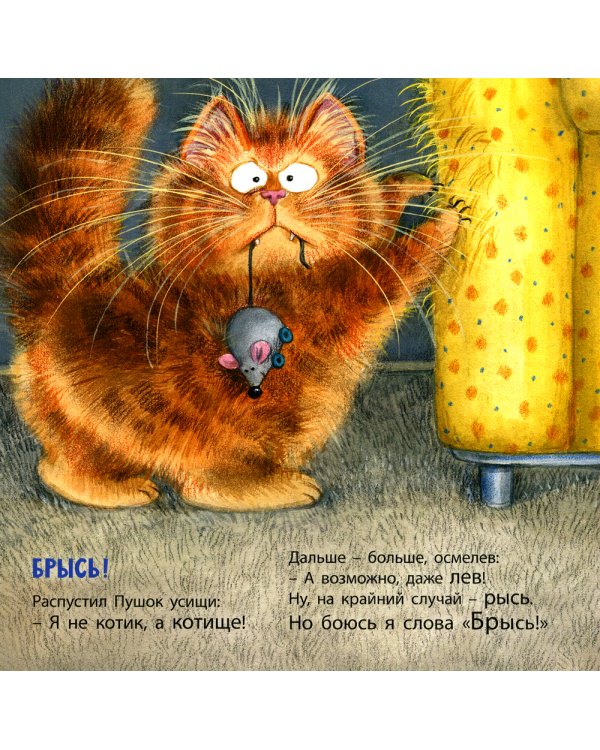 Как я котиков люблю!