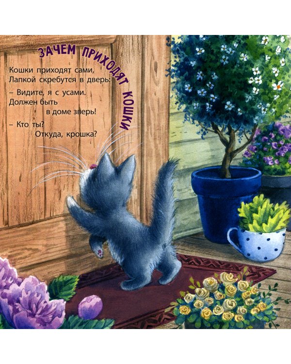 Как я котиков люблю!