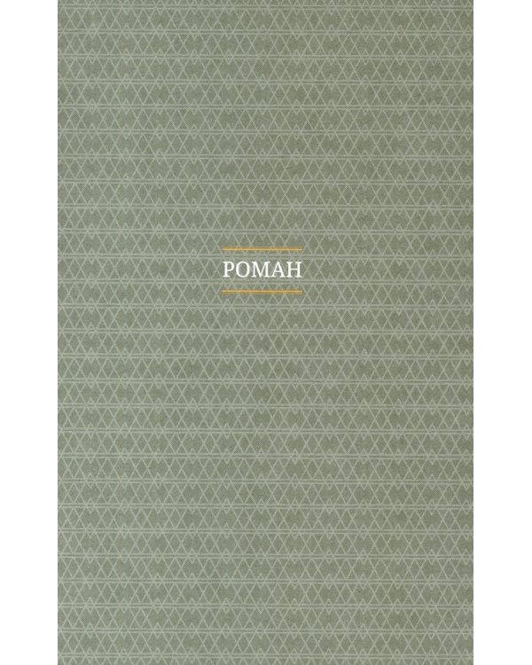 Чудесный доктор: роман, повести, рассказы