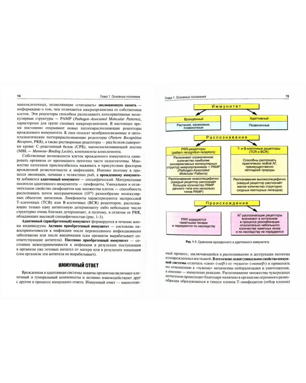 Иммунология: структура и функции иммунной системы: Учебное пособие. 2-е изд., перераб. и доп