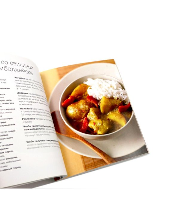 100 рецептов карри; 100 лучших тайских блюд. Просто быстро вкусно (комплект из 2-х книг)