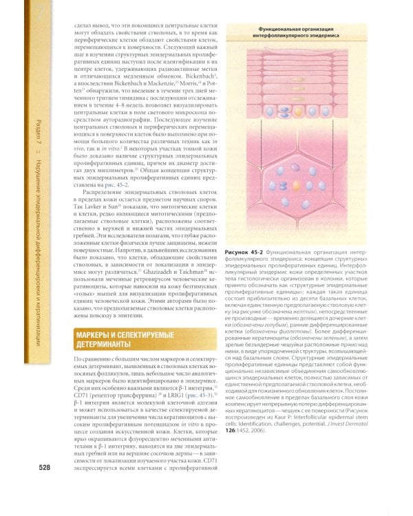 Дерматология Фицпатрика в клинической практике. В 3 т. Т. 1: В 2-х ч. 2-е изд., испр., перераб.и доп (обл.)