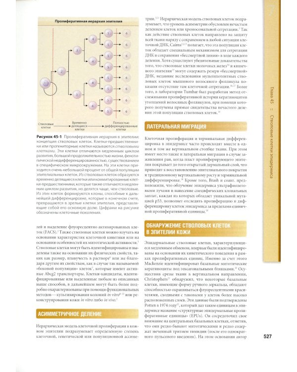 Дерматология Фицпатрика в клинической практике. В 3 т. Т. 1: В 2-х ч. 2-е изд., испр., перераб.и доп (обл.)