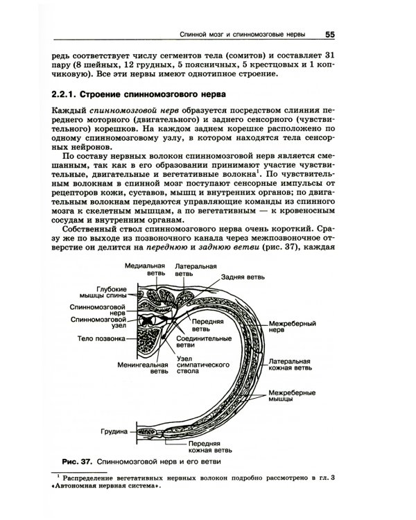 Анатомия нервной системы: Учебное пособие для студентов. 4-е изд