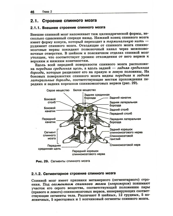 Анатомия нервной системы: Учебное пособие для студентов. 4-е изд