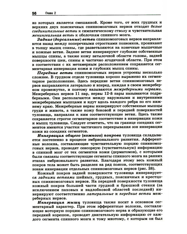 Анатомия нервной системы: Учебное пособие для студентов. 4-е изд