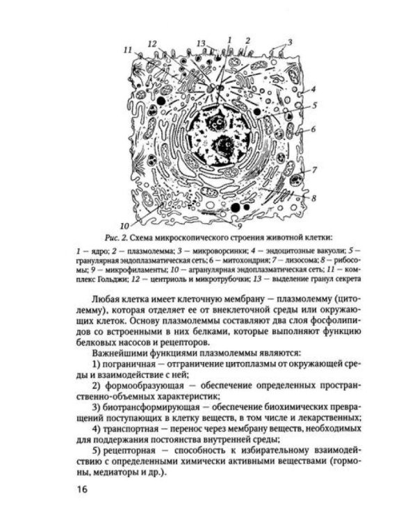 Основы медицинских знаний: Учебное пособие. 5-е изд., стер