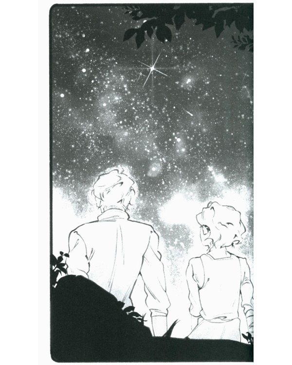 Терра и тайна созвездий. Кн. 1