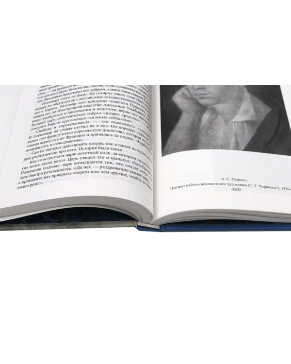 Жизнь Пушкина: В садах Лицея. На брегах Невы; Жизнь Пушкина: Под небом полуденным. Под сенью дедовских лесов (комплект из 2-х книг)