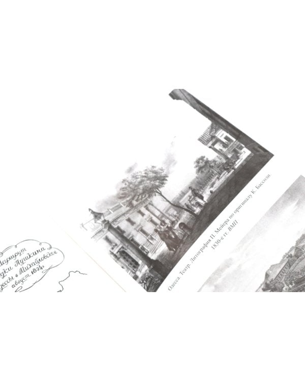 Жизнь Пушкина: В садах Лицея. На брегах Невы; Жизнь Пушкина: Под небом полуденным. Под сенью дедовских лесов (комплект из 2-х книг)