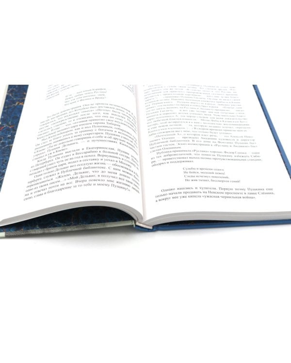 Жизнь Пушкина: В садах Лицея. На брегах Невы; Жизнь Пушкина: Под небом полуденным. Под сенью дедовских лесов (комплект из 2-х книг)