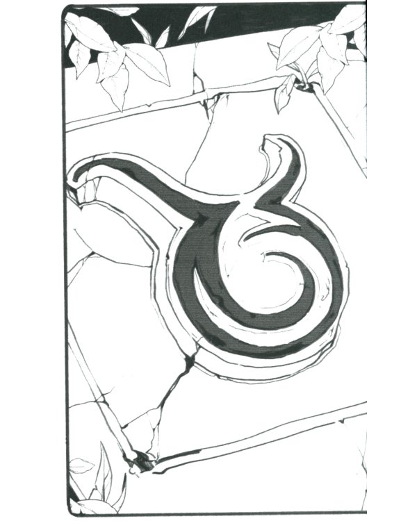 Терра и тайна созвездий. Кн. 1