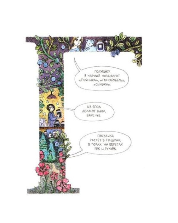 Азбука северных растений