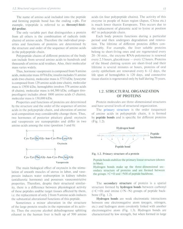 Biochemistry with exercises and tasks: textbook