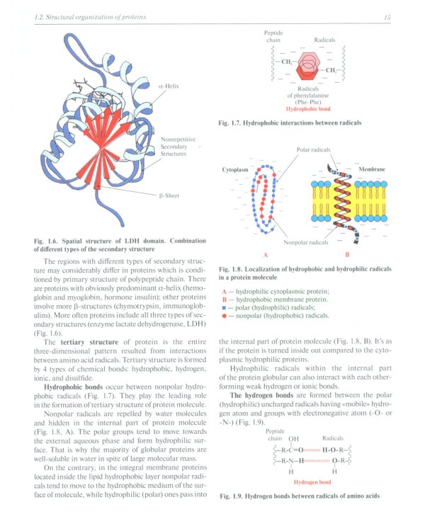 Biochemistry with exercises and tasks: textbook