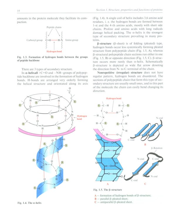 Biochemistry with exercises and tasks: textbook