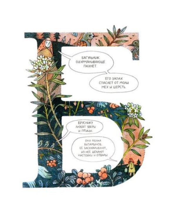 Азбука северных растений