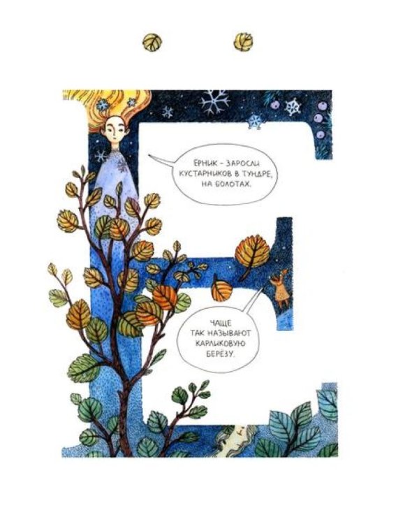 Азбука северных растений