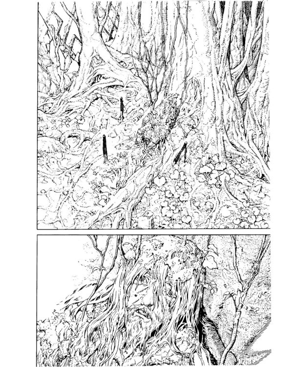 To Your Eternity. Т. 13: манга