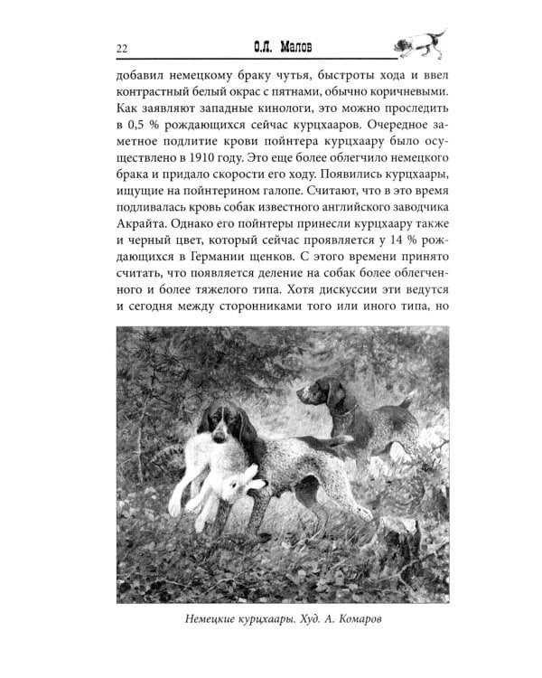 Курцхаар на охоте и дома