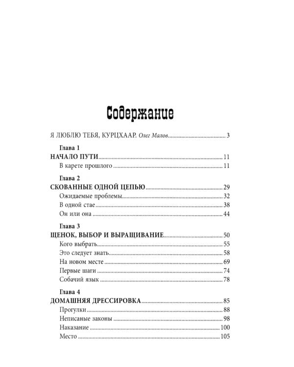 Курцхаар на охоте и дома