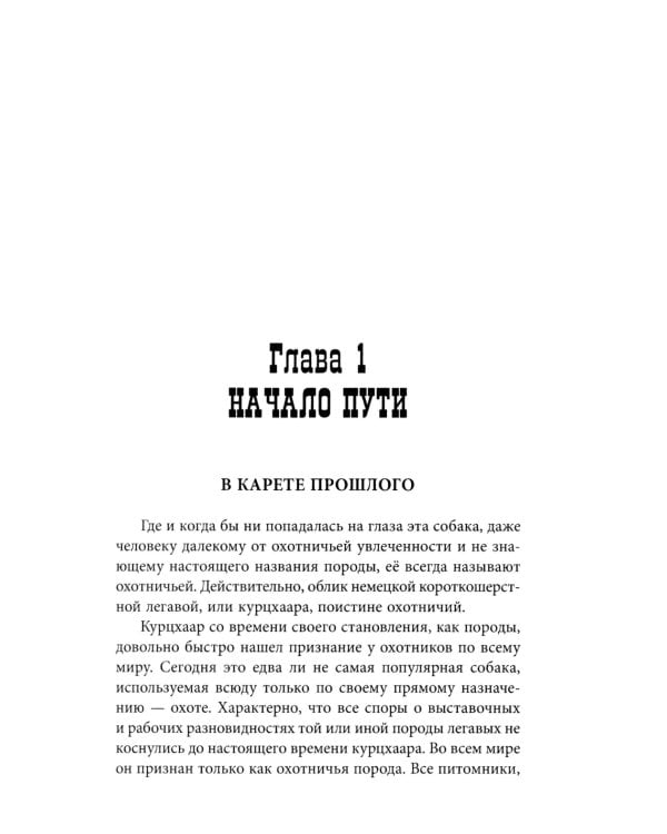 Курцхаар на охоте и дома