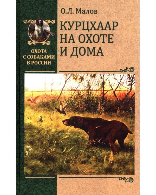 Курцхаар на охоте и дома