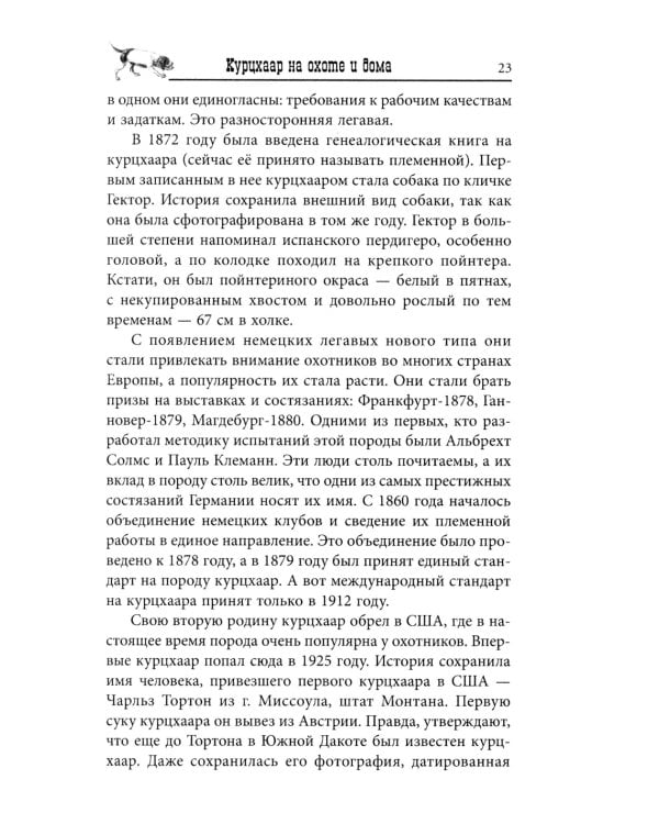 Курцхаар на охоте и дома