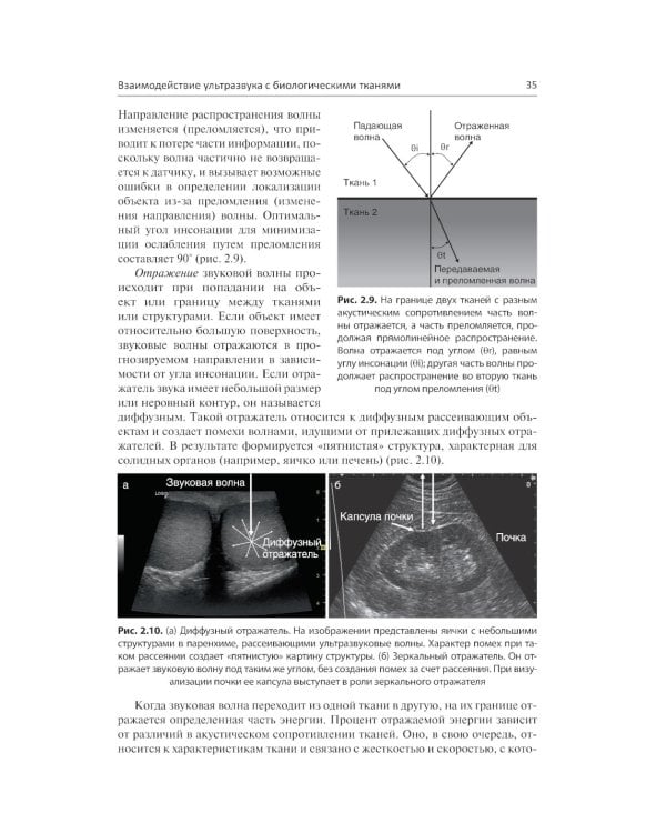 Ультразвуковая диагностика в урологии. 2-е изд