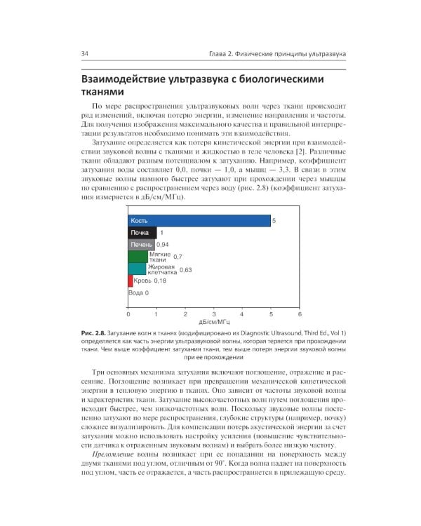 Ультразвуковая диагностика в урологии. 2-е изд
