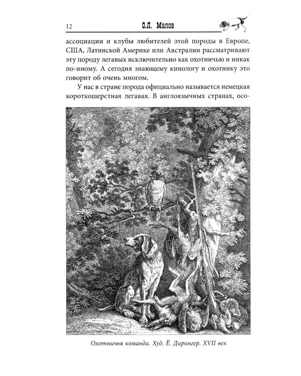 Курцхаар на охоте и дома