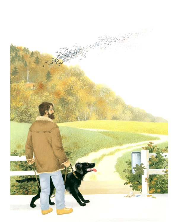 Наше дерево (иллюстрации Герды Мюллер)