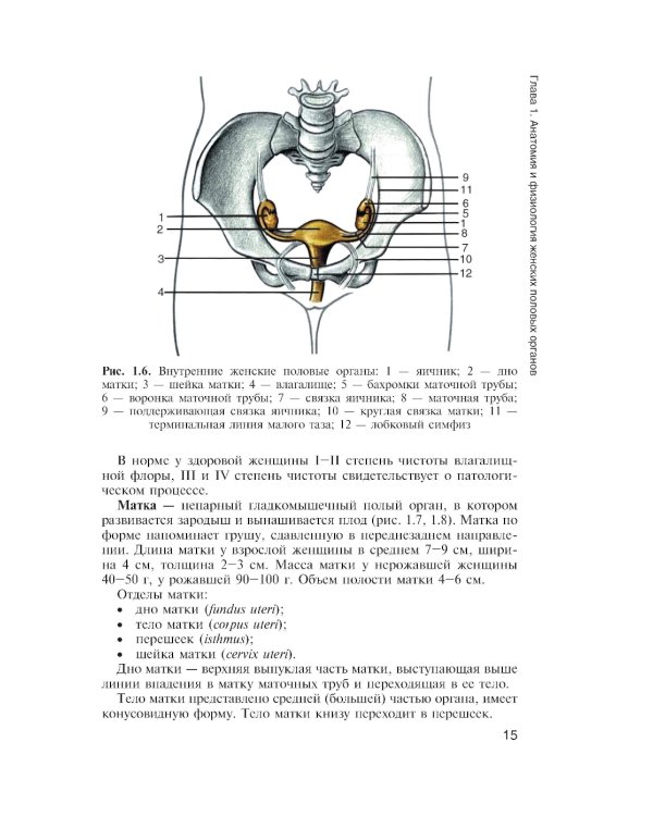 Медицинская помощь женщине с гинекологическими заболеваниями в различные периоды жизни: Учебник. 2-е изд., перераб. и доп