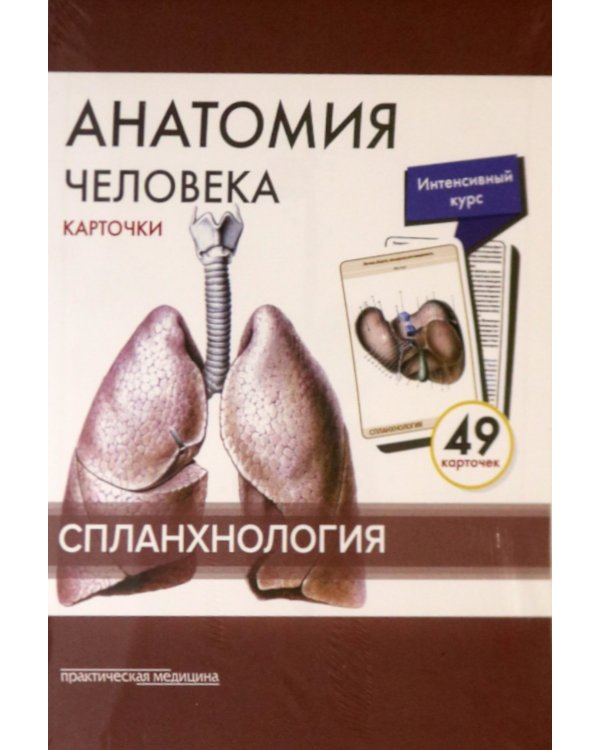 Анатомия человека: карточки. (49 шт). Спланхнология