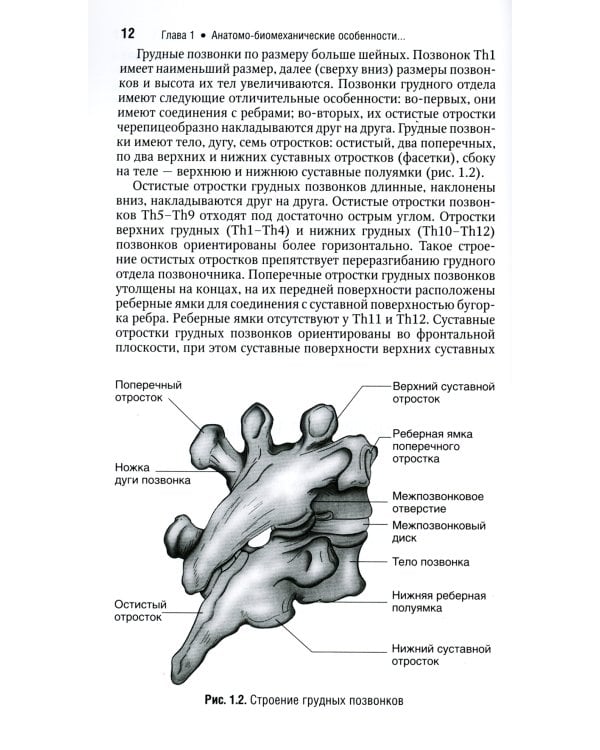 Хирургия дегенеративных поражений позвоночника: национальное руководство. Краткое издание