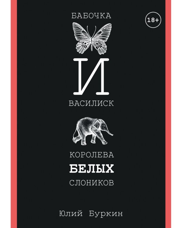 Бабочка и Василиск, Королева белых слоников