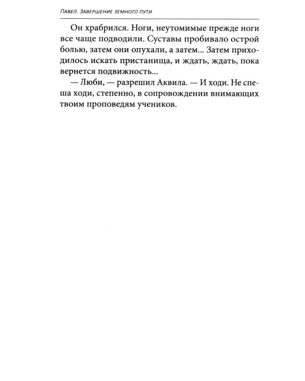 Апостол Павел. Завершение земного пути: исторический роман