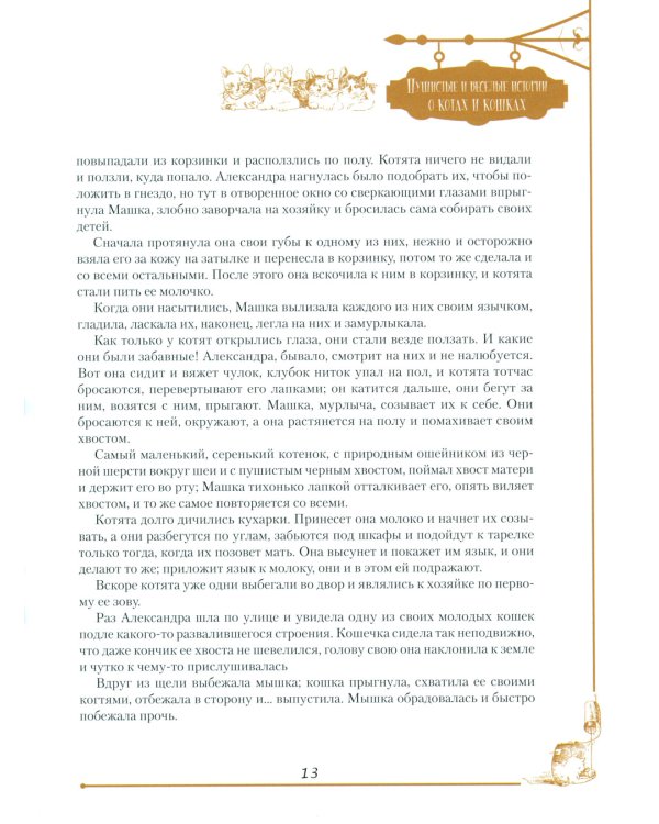 Пушистые и веселые истории о котах и кошках