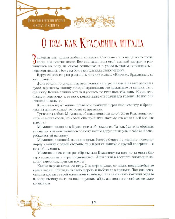 Пушистые и веселые истории о котах и кошках