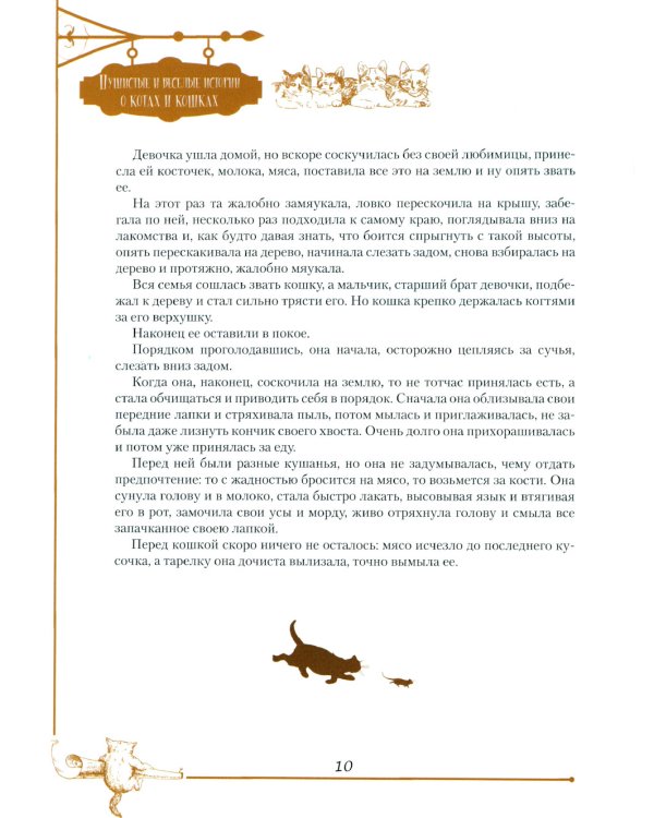 Пушистые и веселые истории о котах и кошках