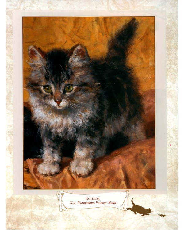 Пушистые и веселые истории о котах и кошках