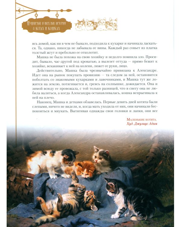 Пушистые и веселые истории о котах и кошках