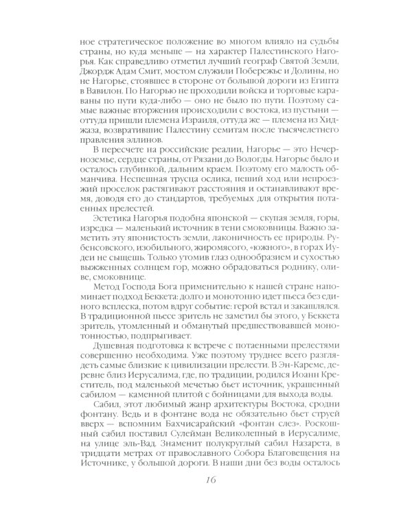 Сосна и олива. Израиль и его соседи