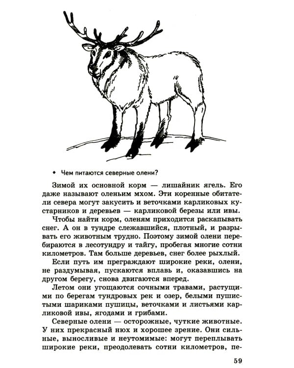 Беседы о русском Севере. Методические рекомендации