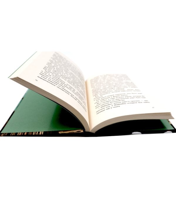 Книжная лавка под дождем. 2-е изд., испр.; "Книжная лавка под дождем" и костяной дракон (комплект из 2-х книг)