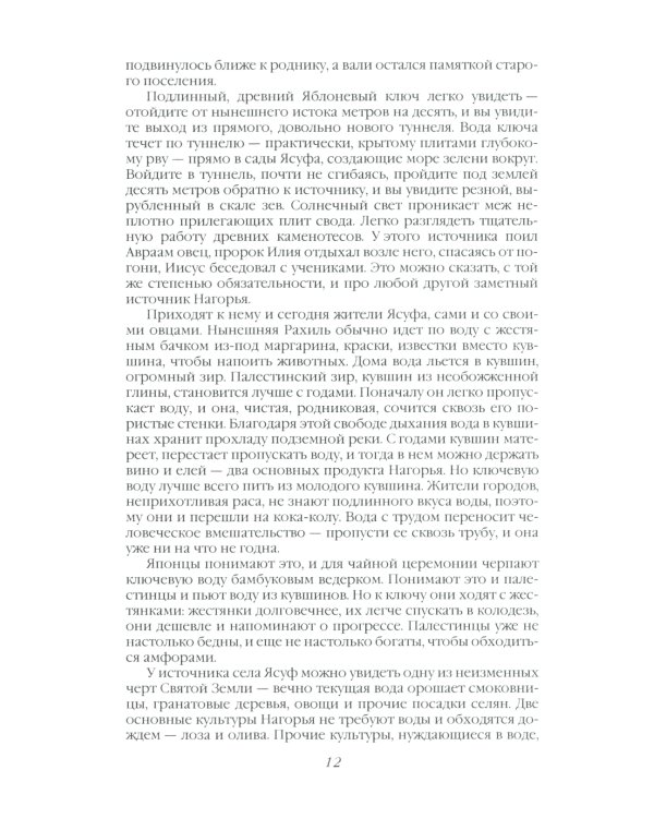 Сосна и олива. Израиль и его соседи