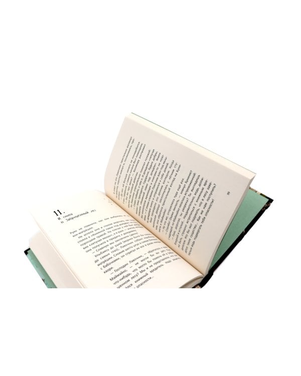 Книжная лавка под дождем. 2-е изд., испр.; "Книжная лавка под дождем" и костяной дракон (комплект из 2-х книг)