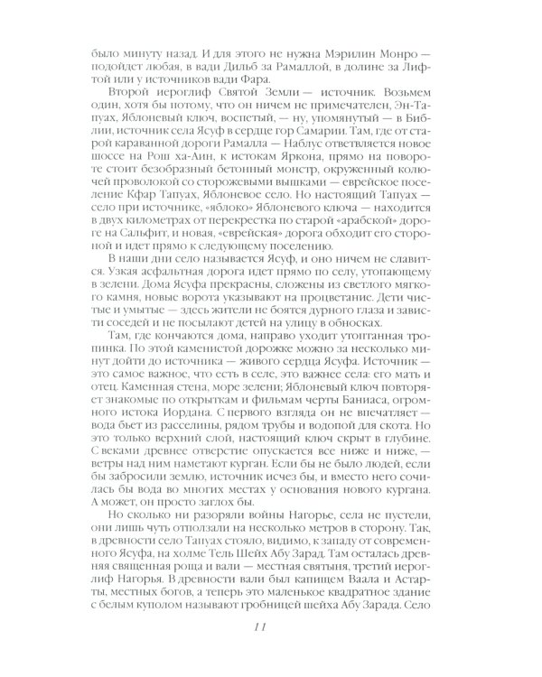 Сосна и олива. Израиль и его соседи