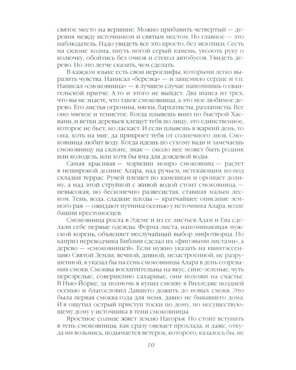 Сосна и олива. Израиль и его соседи